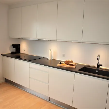 Plesners Havnelejligheder Apartament